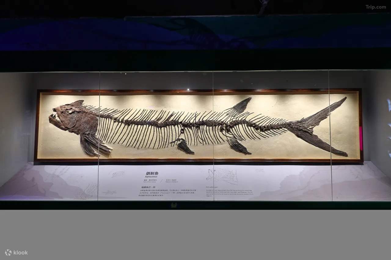 บริเวณโดยรอบ